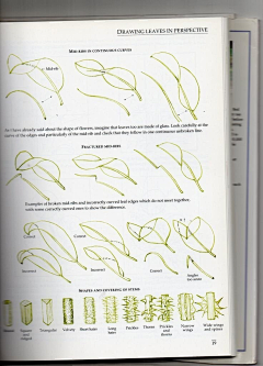 菌丝水母采集到参考-各种教程