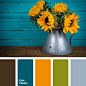 Color Palette _color schemes_T201931 