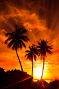 夕阳无限美-马尔代夫的绝美夕阳。