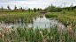 by-HYL-Bretigny-Bois-Badeau-16
