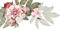 botanical embroidery design floral Flowers interior design  Nature pla (9)