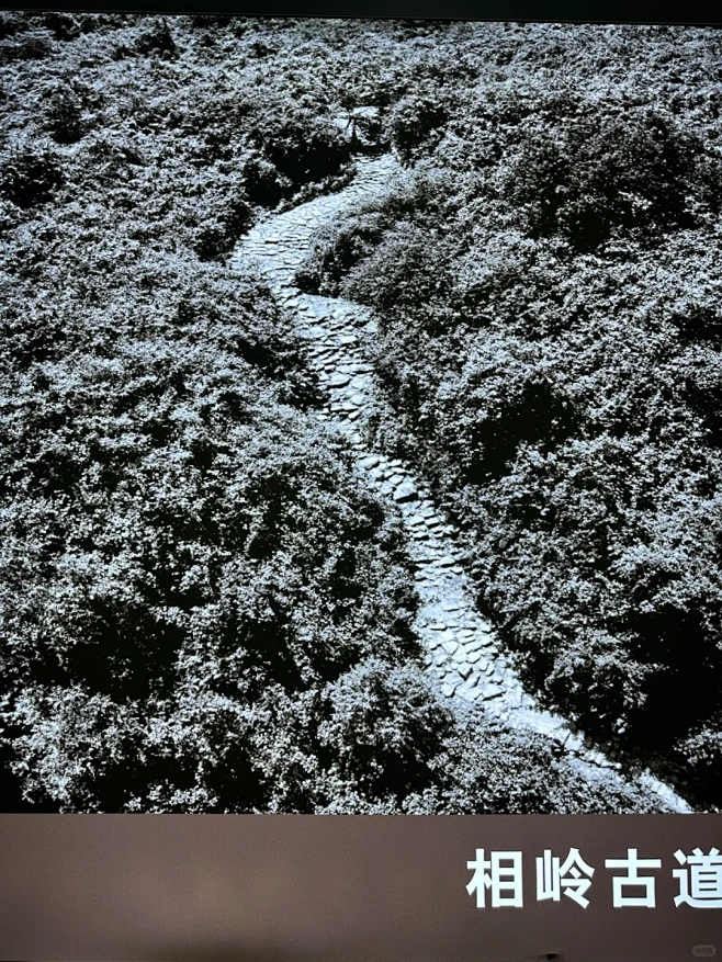 茶马古道 - 小红书