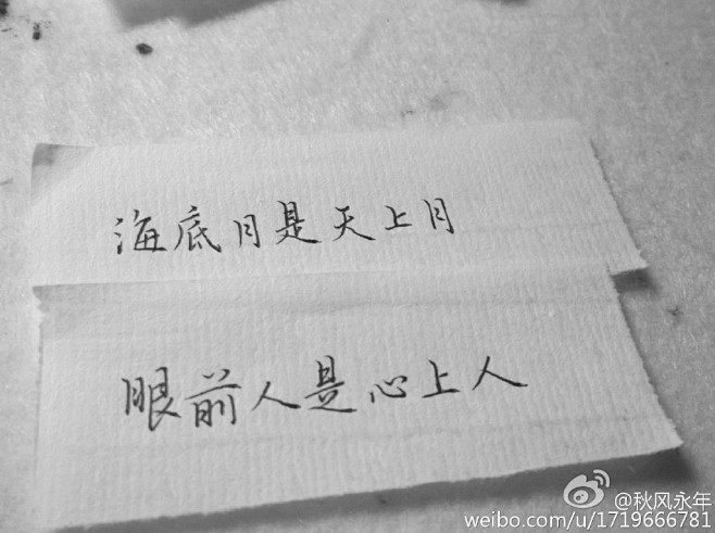 清风纸巾君_的微博_微博