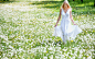 People 1920x1200 women long hair blondes models women outdoors fields white dresses flowers dandelions looking down