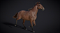 FABLEfx Horse | Ziva Case Study : See how the FableFX team created a fully anatomical and physics-abiding virtual horse using Ziva VFX.