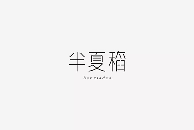 半夏稻