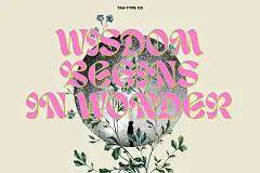 英文字体：复古时尚优雅杂志海报标题设计无衬线字体 TAN - NEW YORK