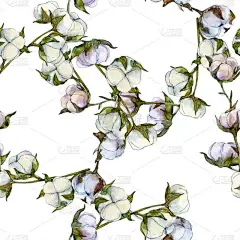 棉花花卉植物学花。野生春叶野花。水彩插图集。水彩画时尚水族馆隔离。无缝的背景模式。织物壁纸打印纹理.