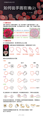 可商用ps素材超话 
分享一组自绘玫瑰素材及【徒手画玫瑰】的教程。
玫瑰有9种形态，包含PNG和PSD文件，转关即可获得网络商用授权，链接见评论。
写教程也是耗费了不少脑细胞，希望能通过拆解玫瑰内在结构，达到脱离参考的目的。授人以鱼不如授人以渔嘛~如果对大家有帮助就更好了
#绘画教程# ​​​​