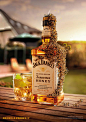 杰克·丹尼尔斯（Jack Daniels）由令人难以置信的图片机画出一个人群，通过#Behance ...