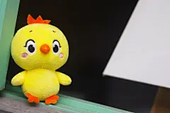 小黄鸡高登摄影作品（5）