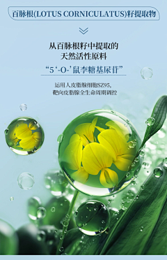 花瓣用户0号采集到MZ-详情板块展示