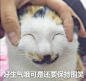 人生啊，起起落落落落落落……