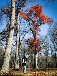 天冷多穿衣，心情要好，气温会暖，周末愉快！ ​​​​