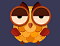 silly owl