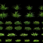 草, lsr CG : 自己的植被库，所有植被都有循环风场动画。