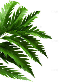 用户xIMQjqEl采集到待归类采集