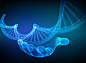 手中的dna序列。 线框dna代码分子结构网格。 免费矢量