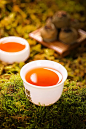 小青柑茶汤茶水图片下载
