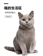 首页-千宠宠物用品专营店-天猫Tmall.com