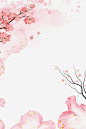 春季樱花装饰手绘边框