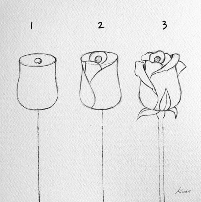 How to draw flowers ...