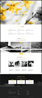 Novalumen Wordpress Theme