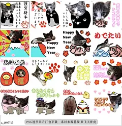 @飞天胖虎 line贴图表情包贴纸[编号1697717]New Year holidays cat2  It is held up for New Year holidays.