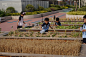 一八学校幼儿园，郑州 / 翰祥景观 : 让大自然带领孩子长大