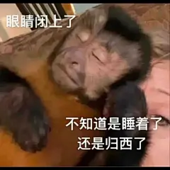 吗喽表情包来啦… : 内容整理自网络 侵删