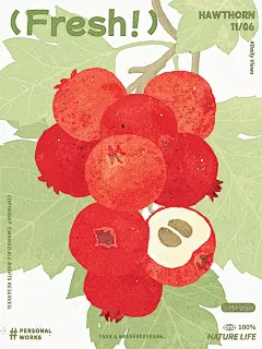 山楂手绘 - 小红书搜索