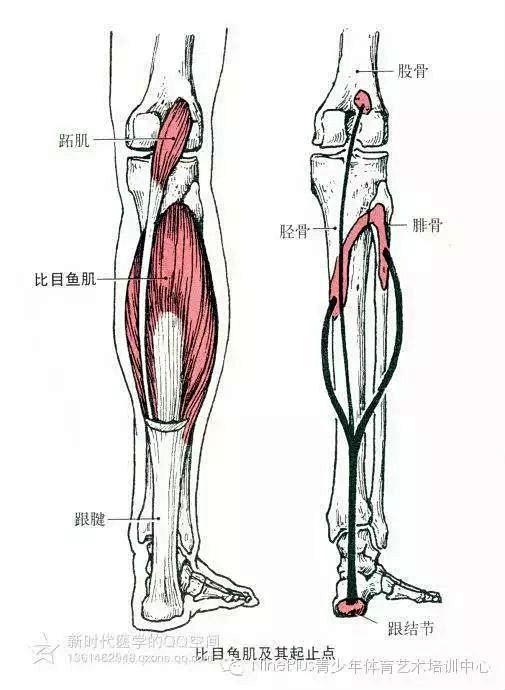 点击查看源网页