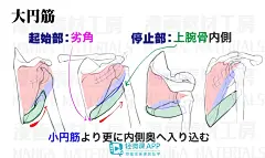 漫画手绘人体怎么画？一步步教你画漫画手绘人体