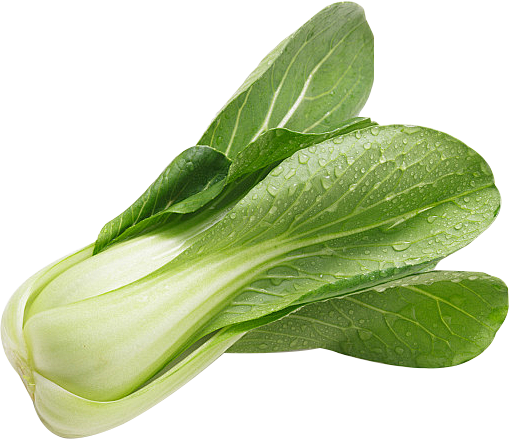 上海青 青菜png