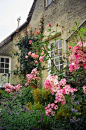 English Garden