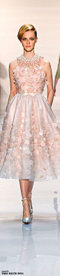 Georgea Hobeika Spring/Summer 2014 Couture http://www.style.com/fashionshows/collections/S2014CTR/