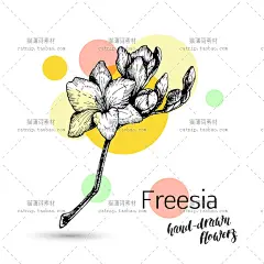 e175|唯美水彩铅笔线稿花朵婚礼请柬贺卡邀请卡矢量源文件AI素材-淘宝网