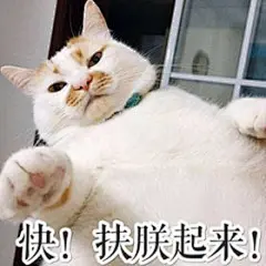再冷血无情的年轻人，看到这两张表情包都得跪舔 - 搜狗字媒体 _D逗采下来_T201975 #率叶插件，让花瓣网更好用_http://ly.jiuxihuan.net/?yqr=18492452#