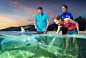 布里斯班 摩顿海豚岛 滑沙+喂养野生海豚 一日游