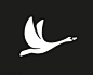 天鹅图标设计 天鹅logo 简约 黑白色 飞翔 翅膀 鸟类 商标设计素材@奥美Linda