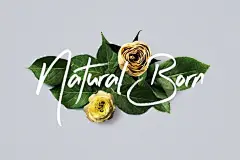 树叶花瓣立体3D真花朵平铺摆放海报专题模板PSD设计素材psd63-淘宝网