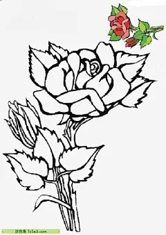 10张表达爱意的玫瑰花以及花丛中的小精灵卡通涂色简笔画图片！ | 涂色集，涂色画打印大图 : 对于初学者来说，画玫瑰花可能会觉得有些挑战，但通过一些简单的步骤和教程，你可以逐步掌握技巧。以下是一些适合初学者的玫瑰花绘画教程推荐：20个超详细步骤讲解！教你学会写实素描玫瑰花：这个教程非常详细，从起稿到完成塑造，每一步都有清晰的指导，适 10张表达爱意的玫瑰花以及花丛中的小精灵卡通涂色简笔画图片！