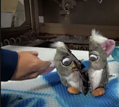 白色的PEKO酱采集到FURBY