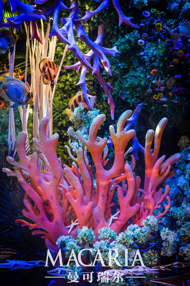 曼可瑞尔婚礼【Ocean Wonderl...
