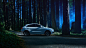 Audi Q3 in a Redwood Forest : Audi Q3 in a Redwood Forest. Photographed for Audi USA social media channels.
