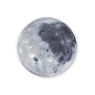 Moon Rug | Covet Lounge - Curate Design : | Covet Lounge will take you on a journey inside the design world where innovation meets comfort and luxury intersects with art, music, food and everything in between.