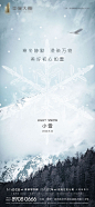 【源文件下载】 海报 房地产 小雪 二十四节气 雪花 树林 262754