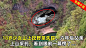 c2329e2fe31093e00f4b90d14864f86b_十月文学_640x360_2024-08-23_522598
