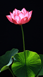 ·