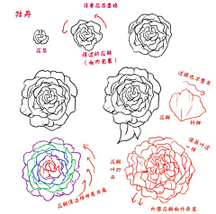 党的光辉照耀大地采集到花儿